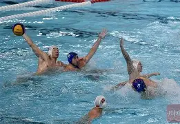 匈牙利队在比赛中表现出色,引起全场热议的是