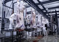 九州娱乐官网-此役杀猪宰牛！凯尔特人大胜小牛