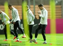 波兰队实力强劲,奥地利队惨遭掠夺的简单介绍 波兰队实力强劲,奥地利队惨遭掠夺的简单介绍