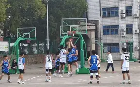 九州娱乐登录入口-运动员们在赛场上表现如何
